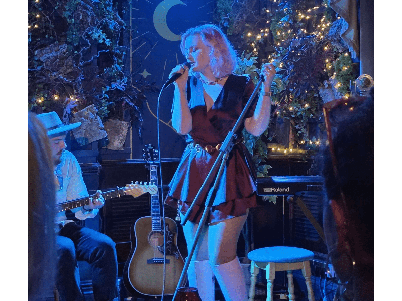 Alina – Silk or Corduroy ( Acoustic / Folk Pop )