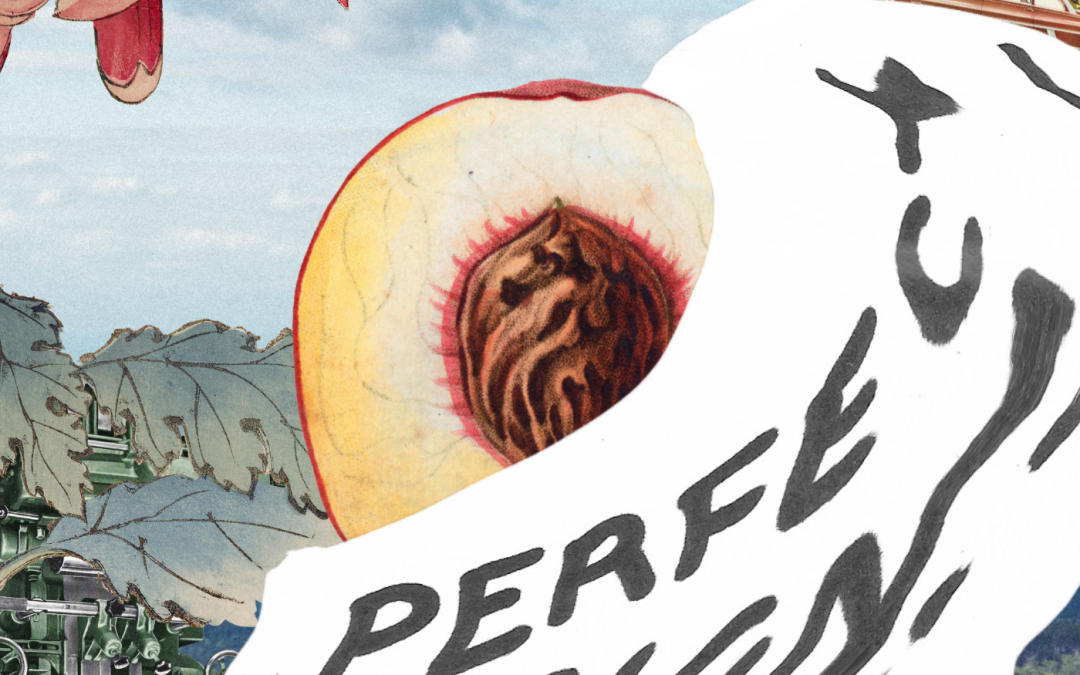 Nice House - Perfect Design