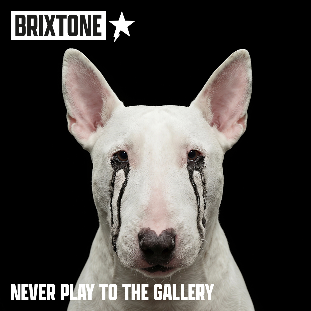 Brixtone - The Mirror Stars