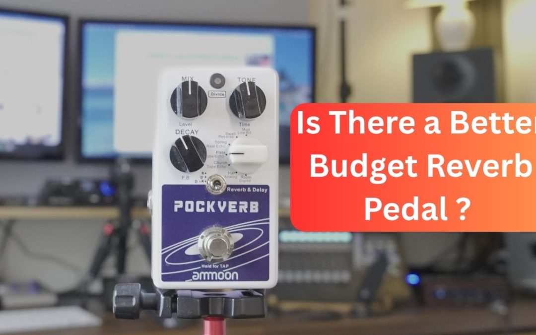 Pockverb - reverb & delay pedal