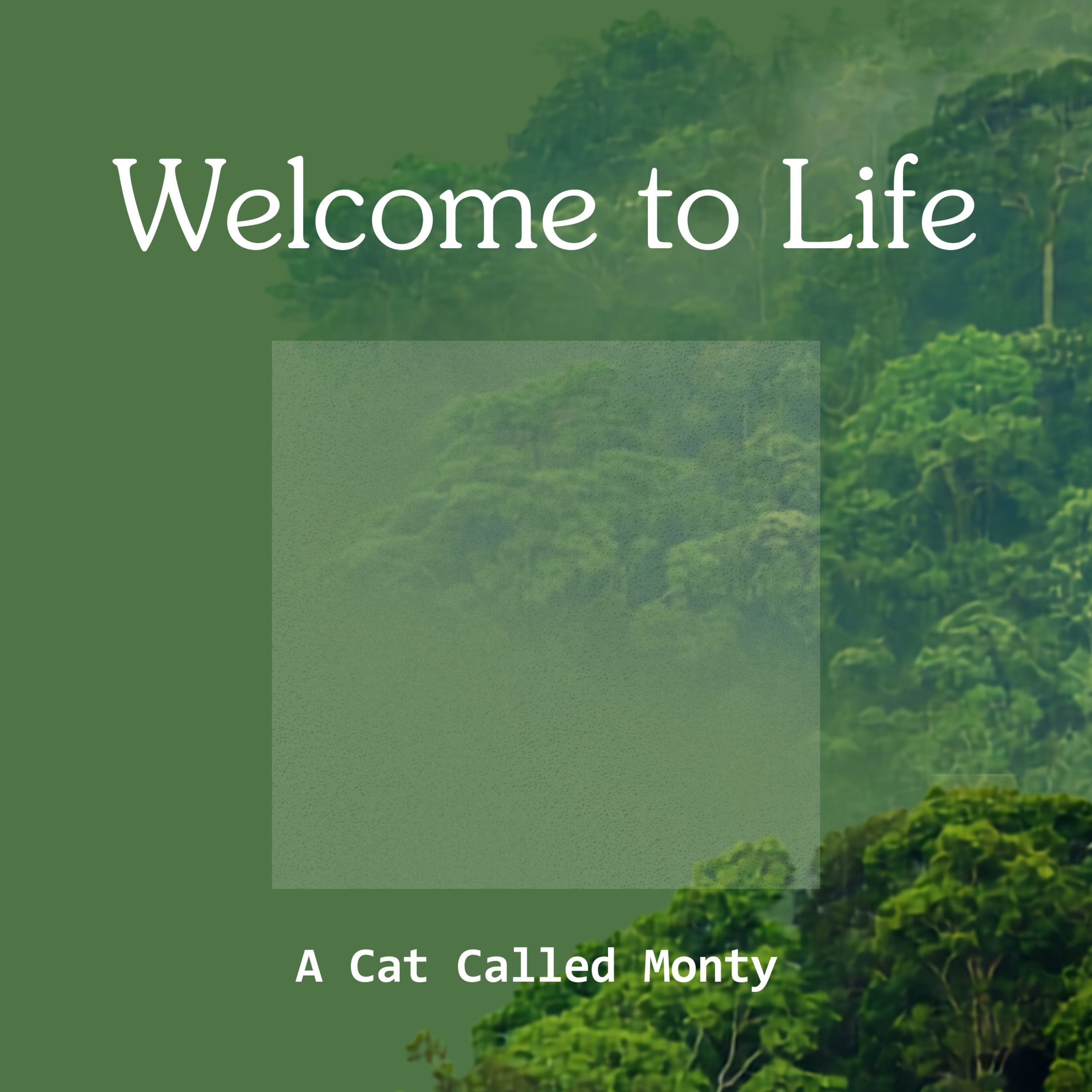 A Cat Called Monty. - Welcome To life